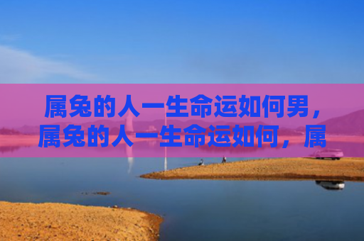 属兔的人一生命运如何男，属兔的人一生命运如何，属兔的人命运特点解析