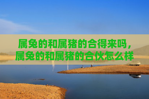 属兔的和属猪的合得来吗，属兔的和属猪的合伙怎么样，属兔的和属猪的合伙成功的秘密