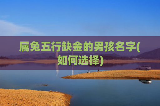 属兔五行缺金的男孩名字(如何选择)