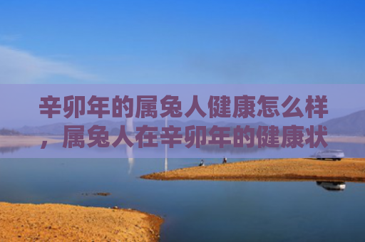 辛卯年的属兔人健康怎么样，属兔人在辛卯年的健康状况