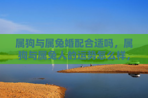属狗与属兔婚配合适吗，属狗与属兔人的运势怎么样，属狗与属兔人的运势大比拼