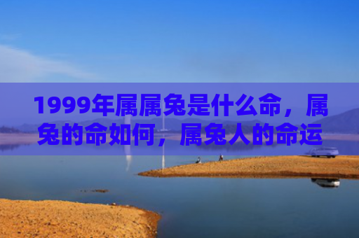 1999年属属兔是什么命，属兔的命如何，属兔人的命运走向