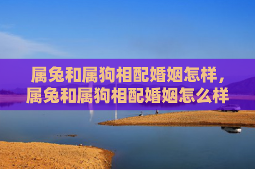 属兔和属狗相配婚姻怎样，属兔和属狗相配婚姻怎么样，属兔和属狗的婚姻如何