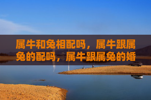 属牛和兔相配吗，属牛跟属兔的配吗，属牛跟属兔的婚姻能否美满