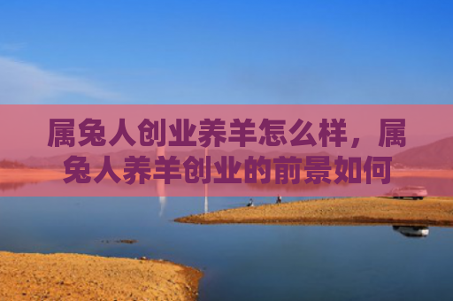 属兔人创业养羊怎么样，属兔人养羊创业的前景如何