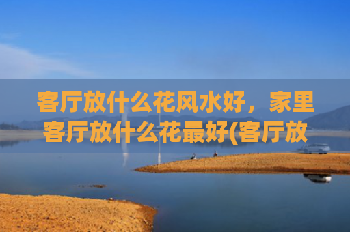 客厅放什么花风水好，家里客厅放什么花最好(客厅放什么摆件风水好)