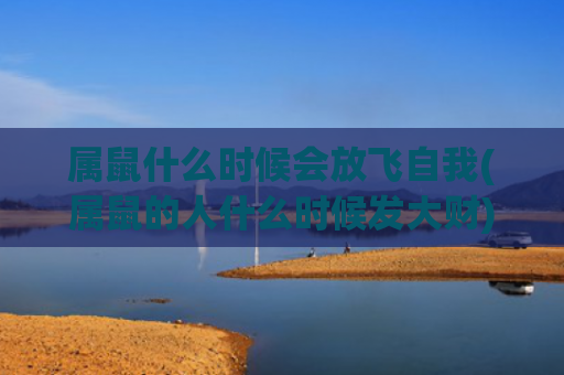 属鼠什么时候会放飞自我(属鼠的人什么时候发大财)