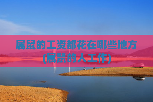 属鼠的工资都花在哪些地方(属鼠的人工作)