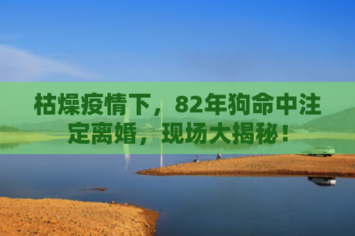 枯燥疫情下，82年狗命中注定离婚，现场大揭秘！