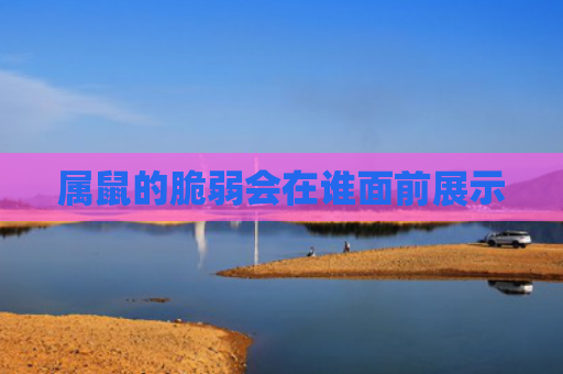 属鼠的脆弱会在谁面前展示