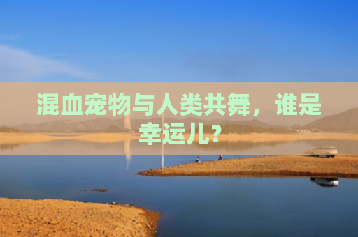 混血宠物与人类共舞，谁是幸运儿？