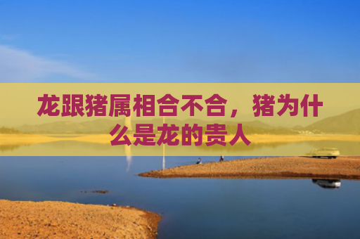 龙跟猪属相合不合，猪为什么是龙的贵人