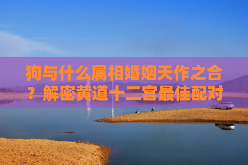 狗与什么属相婚姻天作之合？解密黄道十二宫最佳配对！