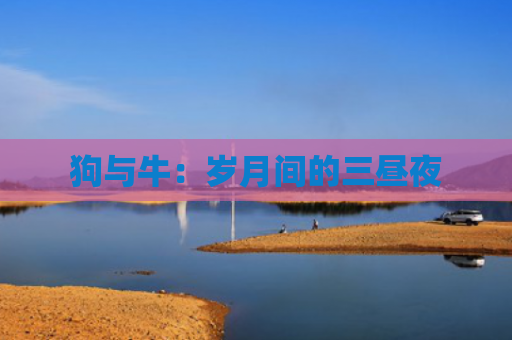 狗与牛：岁月间的三昼夜