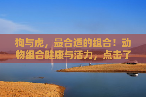 狗与虎，最合适的组合！动物组合健康与活力，点击了解更多！