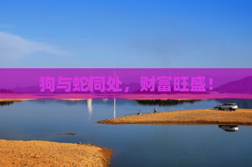狗与蛇同处，财富旺盛！
