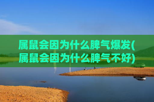 属鼠会因为什么脾气爆发(属鼠会因为什么脾气不好)