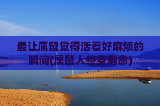 最让属鼠觉得活着好麻烦的瞬间(属鼠人终身寿命)