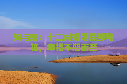 狗与蛇：十二肖婚姻保鲜秘籍，幸福不期而至