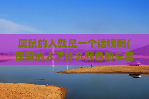 属鼠的人就是一个话唠吗(属鼠的人买什么颜色的车最好)