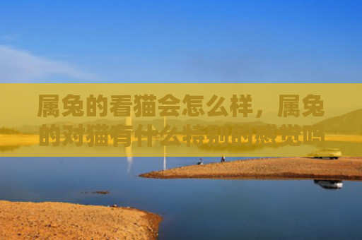 属兔的看猫会怎么样，属兔的对猫有什么特别的感觉吗