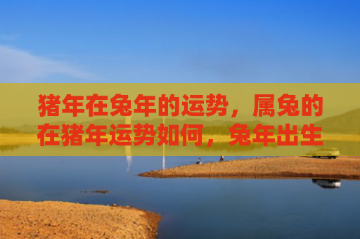 猪年在兔年的运势，属兔的在猪年运势如何，兔年出生的人在猪年会有何收获