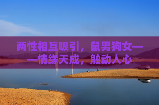 两性相互吸引，鼠男狗女——情缘天成，触动人心