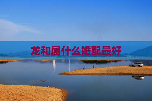 龙和属什么婚配最好
