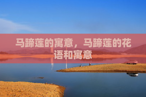 马蹄莲的寓意，马蹄莲的花语和寓意