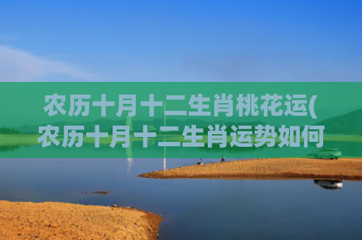 农历十月十二生肖桃花运(农历十月十二生肖运势如何)