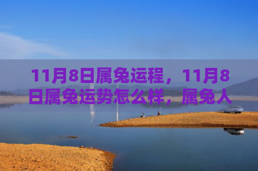 11月8日属兔运程，11月8日属兔运势怎么样，属兔人在11月8日的运势