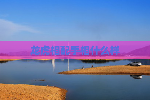 龙虎相配手相什么样