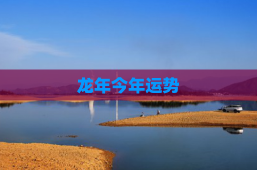 龙年今年运势
