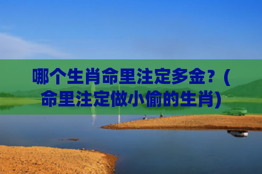 哪个生肖命里注定多金？(命里注定做小偷的生肖)