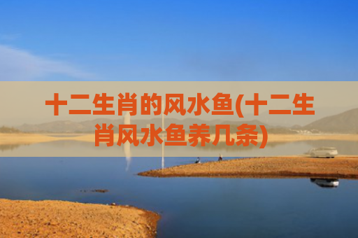 十二生肖的风水鱼(十二生肖风水鱼养几条)