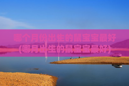 哪个月份出生的鼠宝宝最好(哪月出生的鼠宝宝最好)
