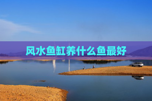 风水鱼缸养什么鱼最好