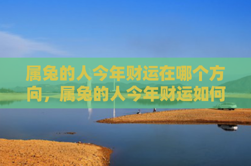 属兔的人今年财运在哪个方向，属兔的人今年财运如何，属兔的人今年财运吉祥如意