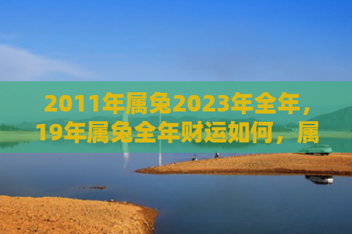 2011年属兔2023年全年，19年属兔全年财运如何，属兔人2019年的财运表现