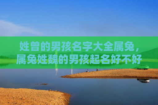 姓曾的男孩名字大全属兔，属兔姓魏的男孩起名好不好，给属兔姓魏的男孩起个好听的名字