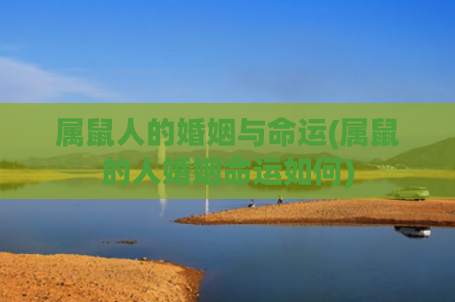 属鼠人的婚姻与命运(属鼠的人婚姻命运如何)