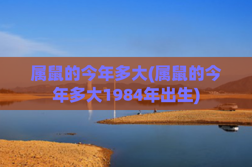 属鼠的今年多大(属鼠的今年多大1984年出生)