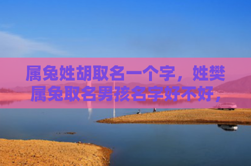 属兔姓胡取名一个字，姓樊属兔取名男孩名字好不好，姓樊属兔男孩适合取什么名字