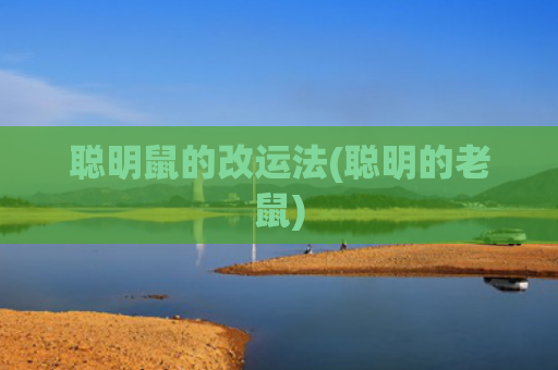 聪明鼠的改运法(聪明的老鼠)