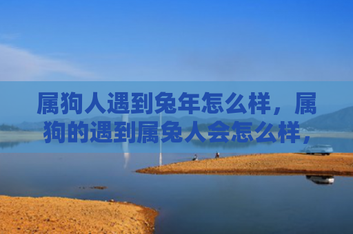 属狗人遇到兔年怎么样，属狗的遇到属兔人会怎么样，属狗和属兔的缘分如何