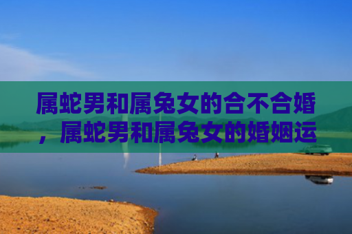 属蛇男和属兔女的合不合婚，属蛇男和属兔女的婚姻运势怎么样，属蛇男和属兔女的姻缘走势