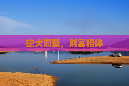 蛇犬同牵，财富相伴