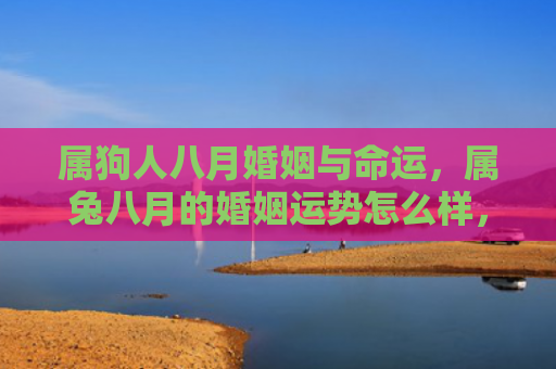 属狗人八月婚姻与命运，属兔八月的婚姻运势怎么样，属兔的婚姻运势如何
