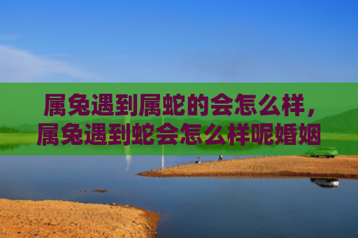 属兔遇到属蛇的会怎么样，属兔遇到蛇会怎么样呢婚姻，如何看待属兔与属蛇的婚姻
