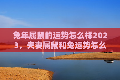 兔年属鼠的运势怎么样2023，夫妻属鼠和兔运势怎么样，属鼠和兔的夫妻今后的运势如何呢